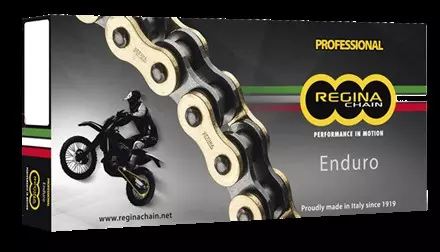 Цепь Regina 520 ZRE- 110 звеньев