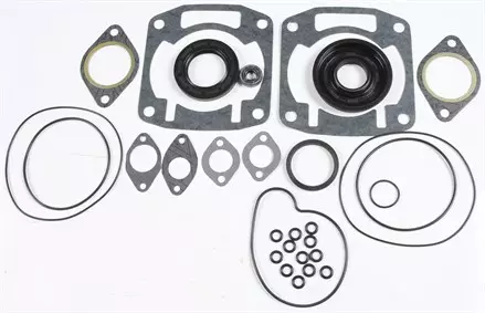 Комплект прокладок с сальниками Arctic Cat 550 Bearcat 95-02 SPI 09-711189