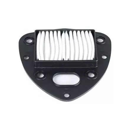 Воздушный фильтр для BOULEVARD C50/M50 05-12, VL800 13-17 Suzuki 13780-39G20