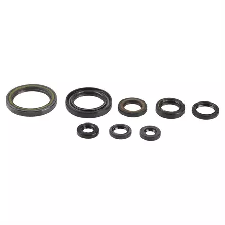 Комплект сальников двигателя Athena HONDA CRF 150R 07-10 P400210400202