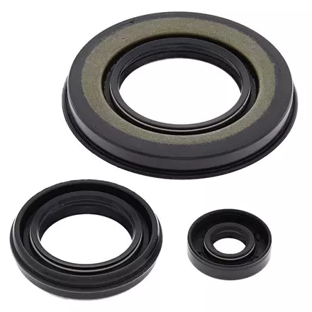SEALING GASKETS