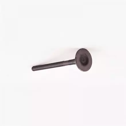 Выпускной клапан Yamaha Grizzly 125, Raptor 125, Breeze 125 1JP-E2121-00-00, 5HP-12121-00-00, 50M-12121-01-00