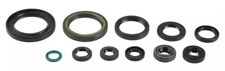 Комплект сальников двигателя ATHENA HONDA CRF450R 02-08 P400210400064