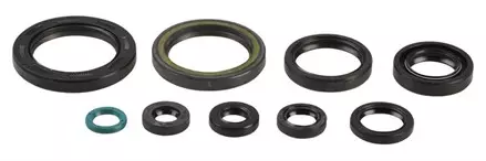 Комплект сальников двигателя ATHENA HONDA CRF450R 09-15 P400210400239