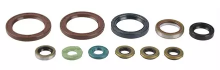 Комплект сальников двигателя ATHENA KTM SX-F450 '07-12 P400270400036