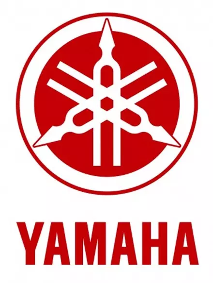 Успокоитель цепи ГРМ Yamaha YFZ 450 04-09, 12-13 5TA-12251-01-00