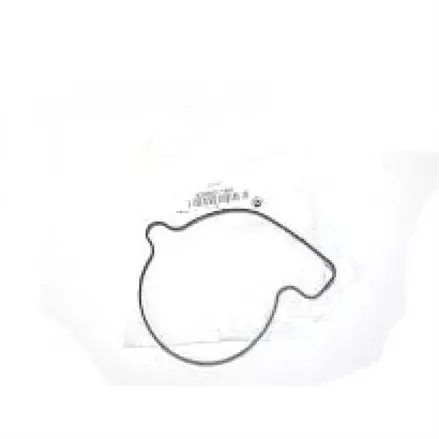Прокладка водяной помпы CanAm Outlander, SeaDoo, SkiDoo 420651190, 420651191