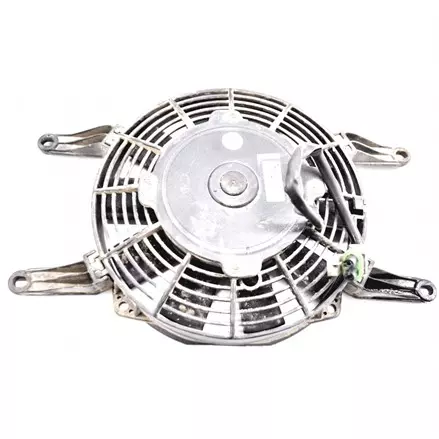 FAN ASS Y