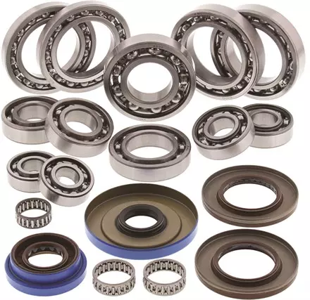 Diff Brg - Seal Kit -