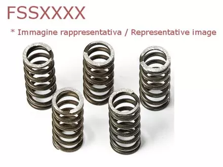 пружины сцепления мото к-кт FSS0212