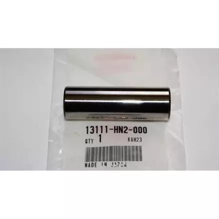 PIN, PISTON