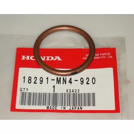 GASKET, EXK PIPE