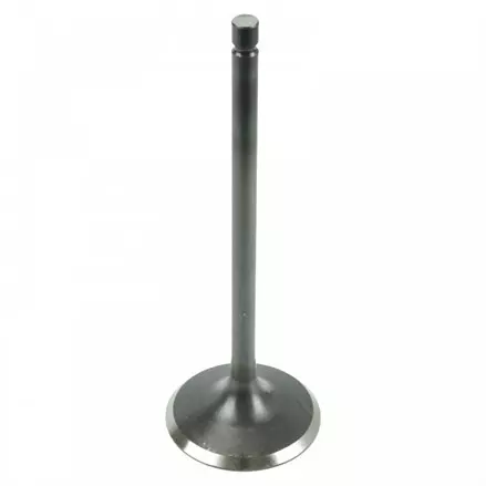 Клапан впускной Arctic Cat 1000, 700, 650, 550 0809-039 0809-228