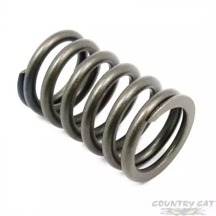 Пружинка клапанов Arctic Cat 1000 0809-138, 0809-231