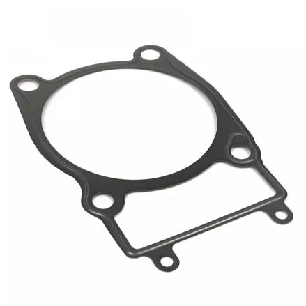 Прокладка под цилиндр Acrtic Cat 1000 TRV, MudPro, WildCat, Prowler, Alterra 0830-193