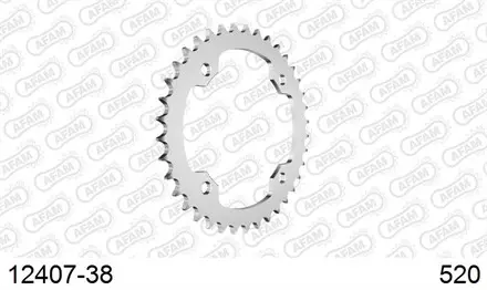 Звезда задняя AFAM 12407-38 для мотоцикла