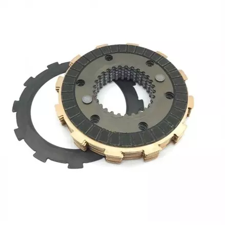 DISC ASSY,DIFFERENTIA