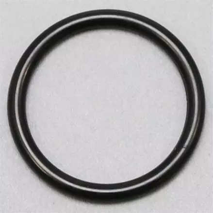 RING-0,19.8X2.2